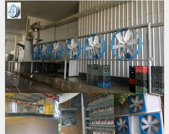 Equipamiento para la Industria Avícola: Soluciones de Ventilación para Galpones