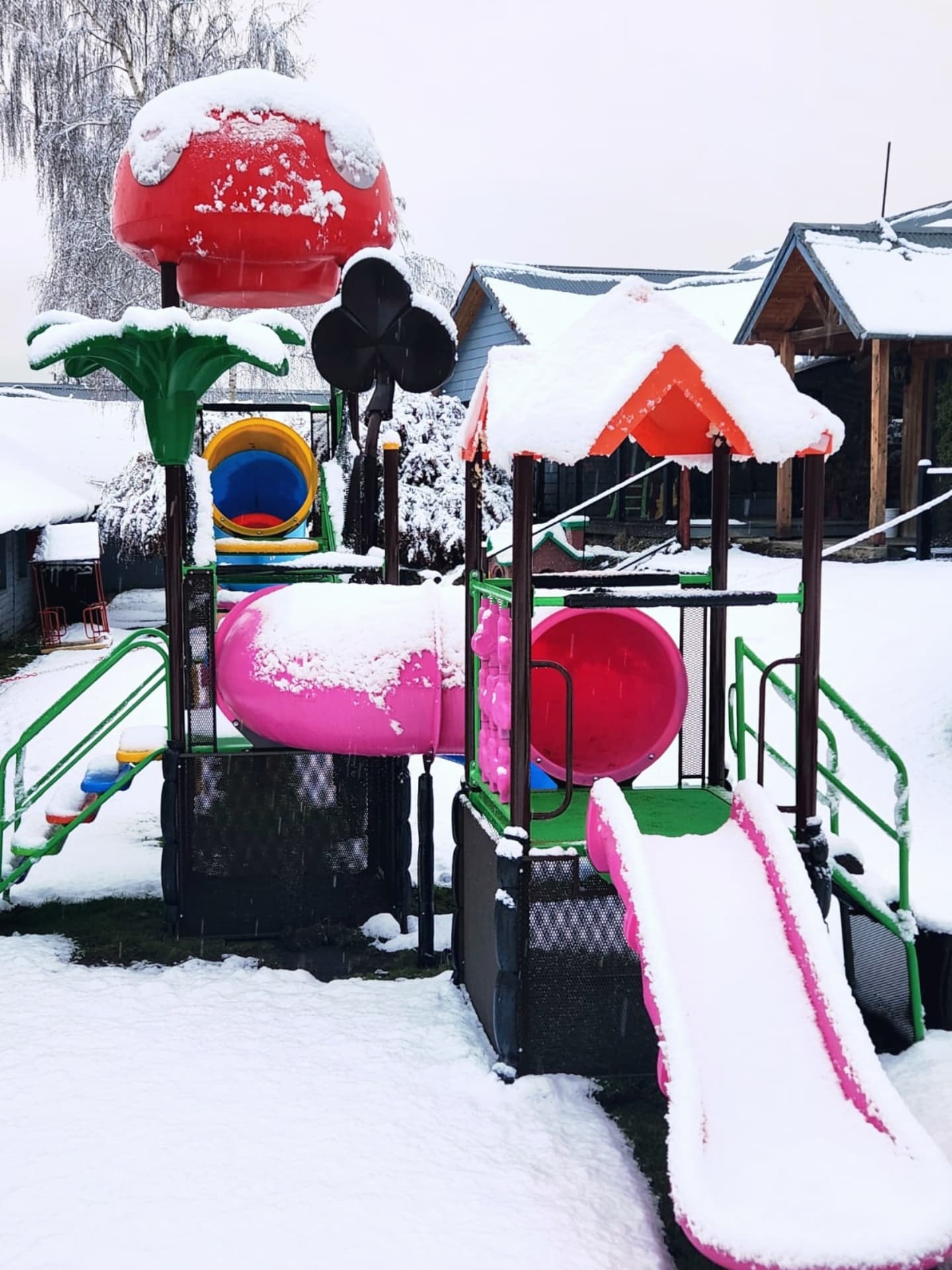 Nuestros mangrullos están en todo el país