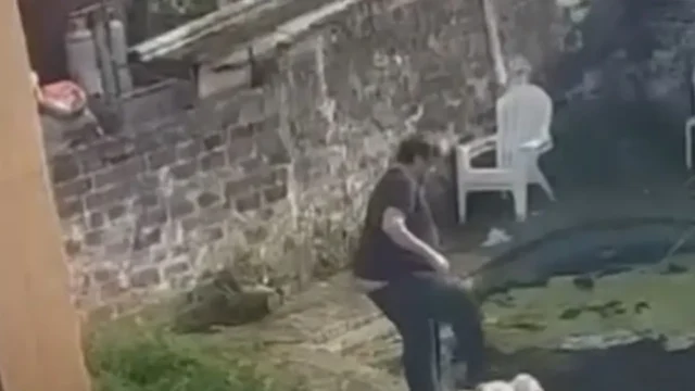 Detienen a un adiestrador acusado de maltrato animal tras hallarse un perro muerto. Imagen destacada sobre adiestrador acusado de maltrato animal. publicada en Diseño Web Rosario