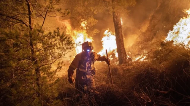 Incendios en España: cómo comunicar evacuaciones y emergencias digitales. Imagen destacada sobre incendios en España. publicada en Diseño Web Rosario