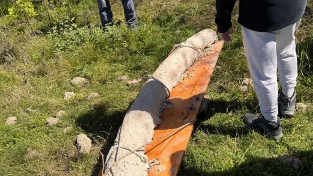 El colmillo de mastodonte más grande de Sudamérica fue hallado en San Pedro. Imagen destacada sobre colmillo de mastodonte. publicada en Diseño Web Rosario