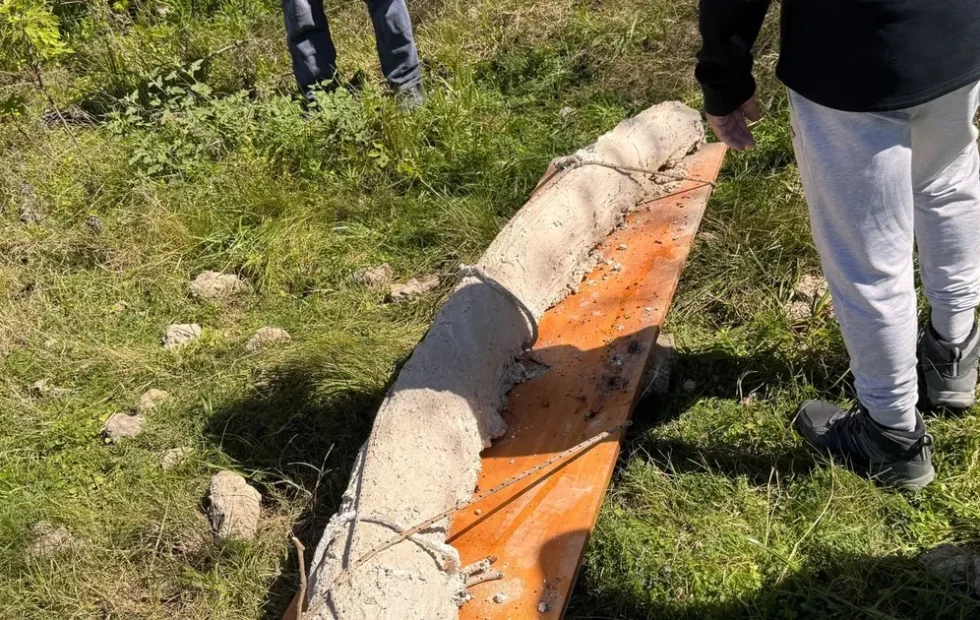 El colmillo de mastodonte más grande de Sudamérica fue hallado en San Pedro. Imagen destacada sobre colmillo de mastodonte. publicada en Diseño Web Rosario