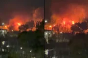 Incendio en el puerto de Olivos: bomberos controlaron llamas de gran altura. Imagen destacada sobre incendio en el puerto de Olivos. publicada en Diseño Web Rosario
