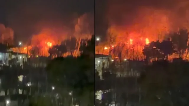 Incendio en el puerto de Olivos: bomberos controlaron llamas de gran altura. Imagen destacada sobre incendio en el puerto de Olivos. publicada en Diseño Web Rosario